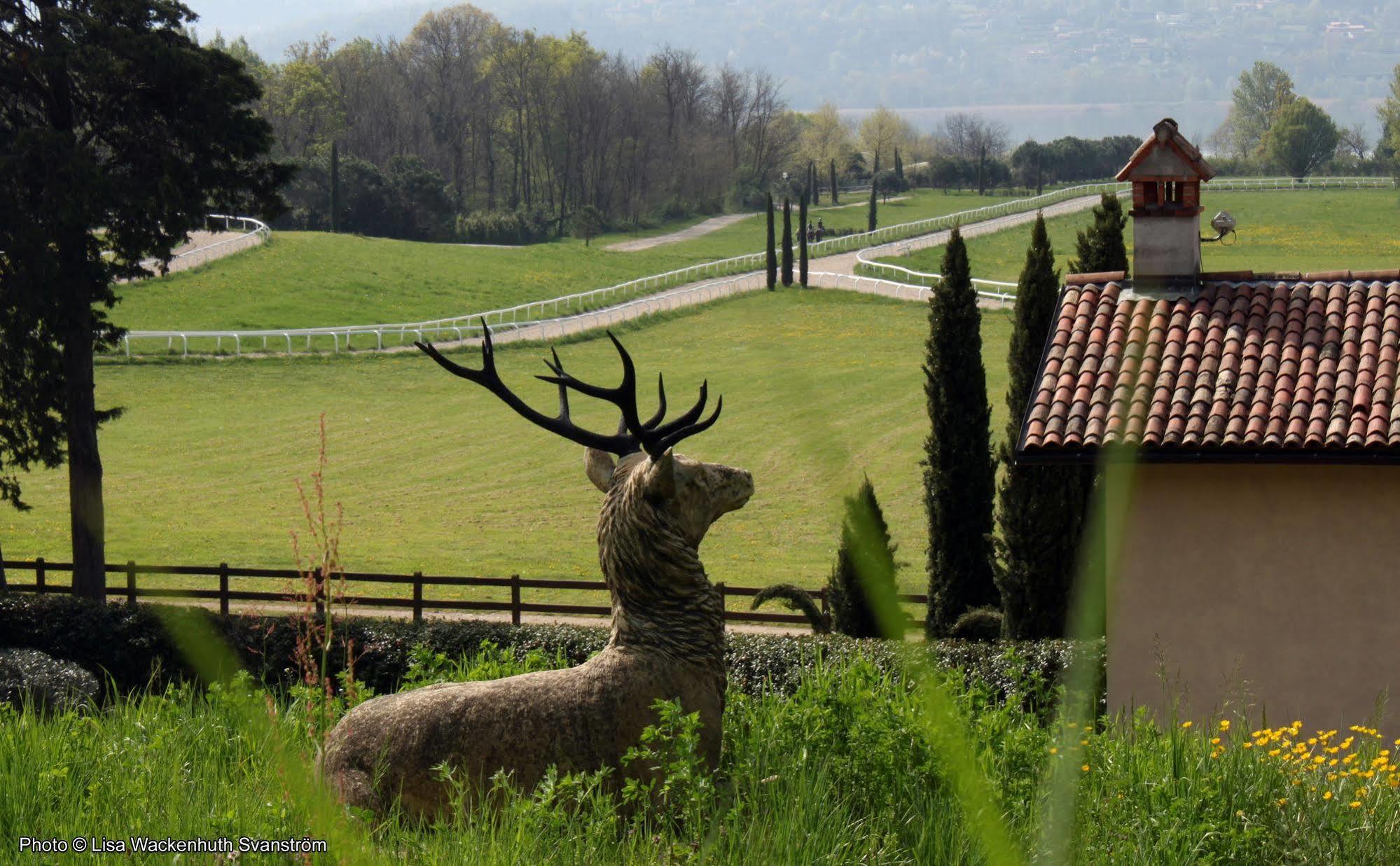 Foresteria Dei Piaceri Campestri Casciago Extérieur photo